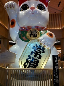 IMG_20160111_145437.jpg