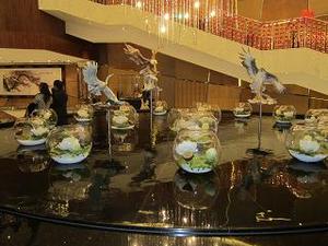 IMG_2069.JPG