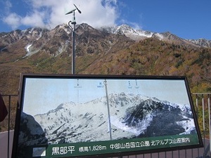 IMG_4491.JPG