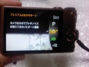 L03B0296.JPG